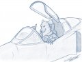 Lokicox.jpg